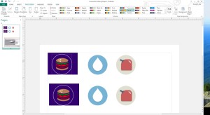 Modified icons on Microsoft Publisher